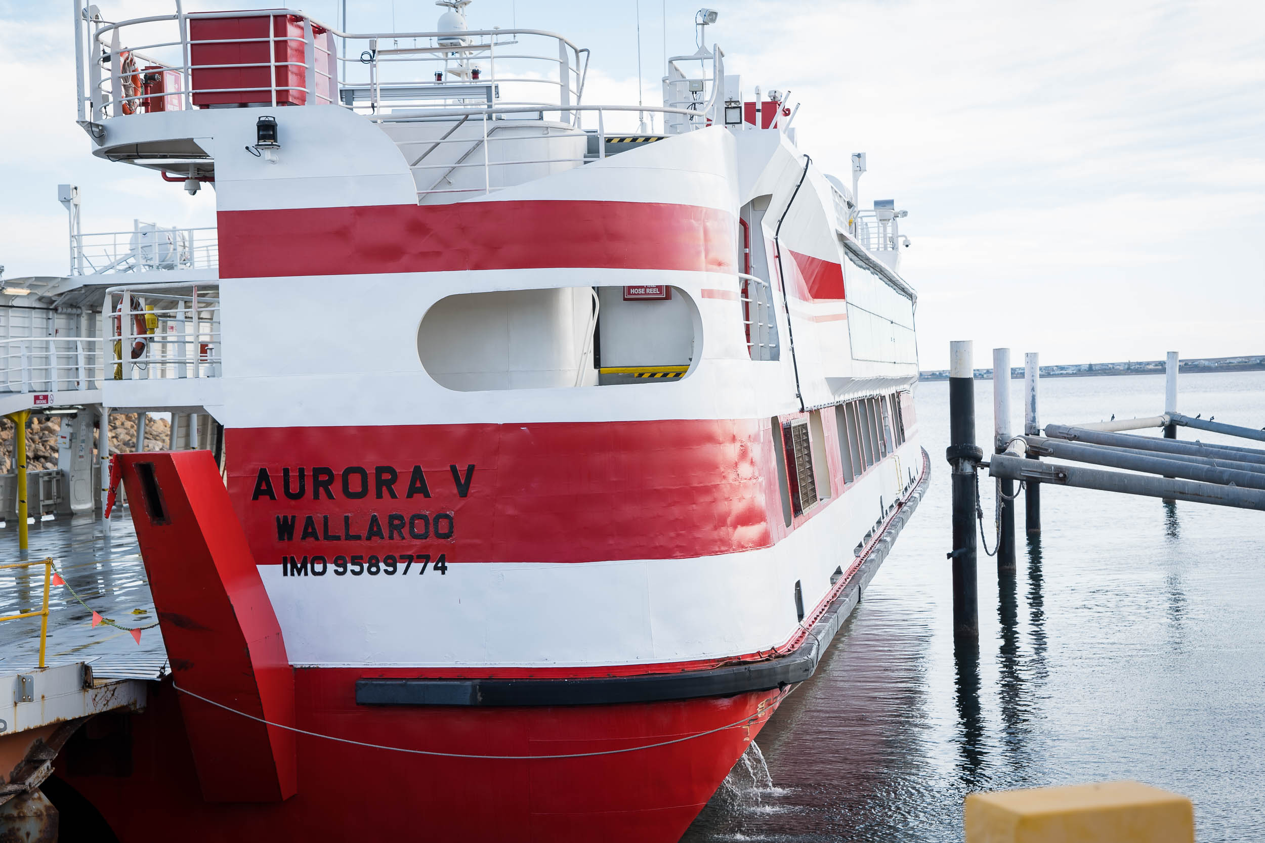 Aurora V docked