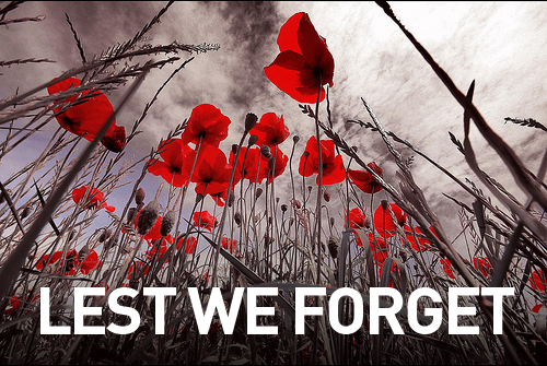 Lest we forget poppys